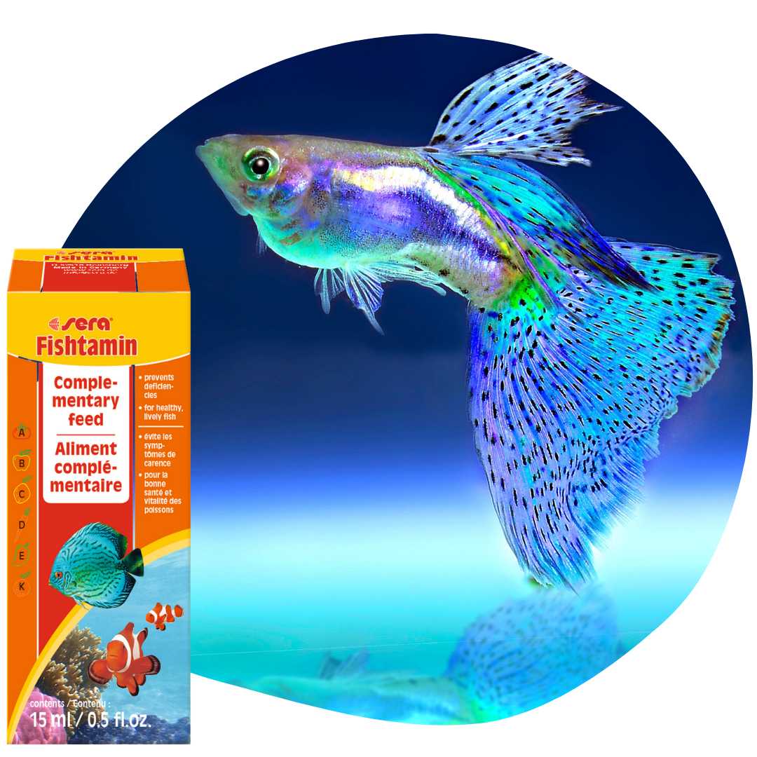 Mire jó a Sera Fishtamin?